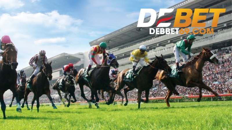 Cá Cược Đua Ngựa Debet - Môn Cá Cược Thể Thao Hoàng Gia 1 Cá Cược Đua Ngựa Debet